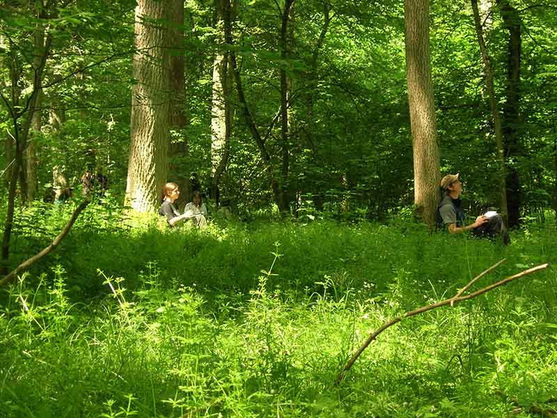 Wildniswissen Lagerfeuer