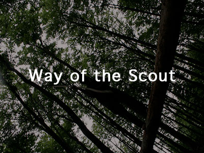 The Way of the Scout